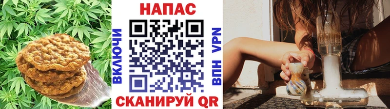 Cannafood марихуана  kraken вход  Мурманск  цены  