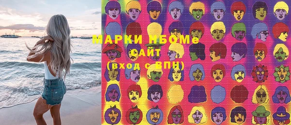 прущие грибы Аркадак