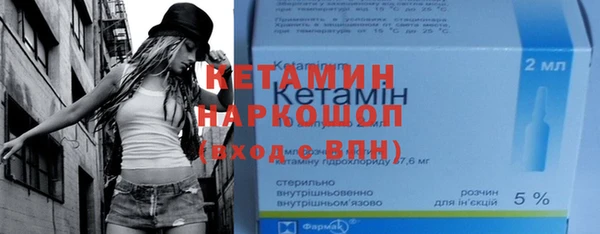 прущие грибы Аркадак