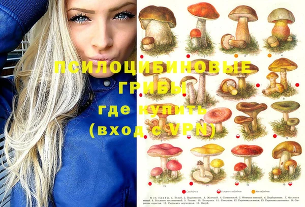 прущие грибы Аркадак