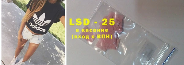прущие грибы Аркадак