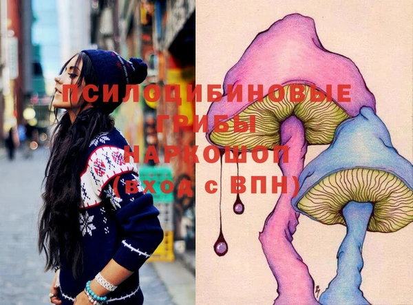 spice Арсеньев