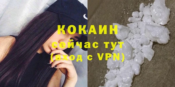 прущие грибы Аркадак