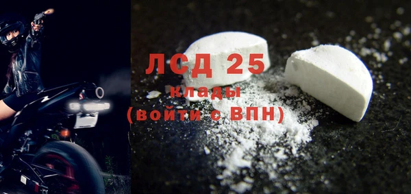 прущие грибы Аркадак