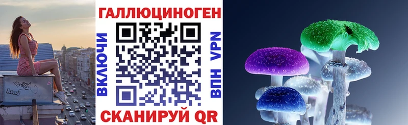 даркнет сайт Мурманск Псилоцибиновые грибы мицелий