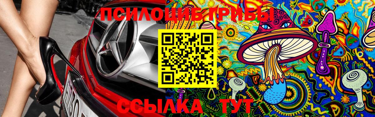 Мурманск  Псилоцибиновые грибы Psilocybe  Вход с VPN 